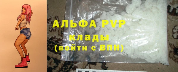 ECSTASY Михайлов