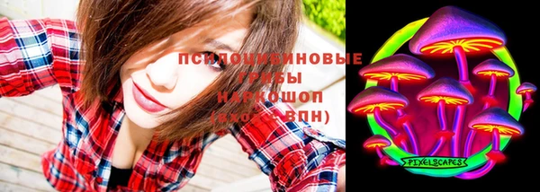 ПСИЛОЦИБИНОВЫЕ ГРИБЫ Мегион