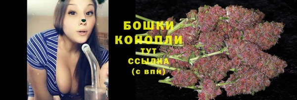 гашик Михайловка