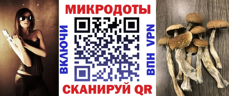blacksprut маркетплейс  Никольское  Галлюциногенные грибы прущие грибы 